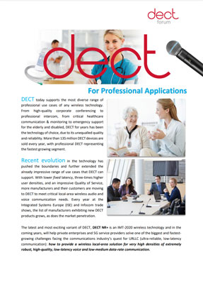DECT Professional Overview